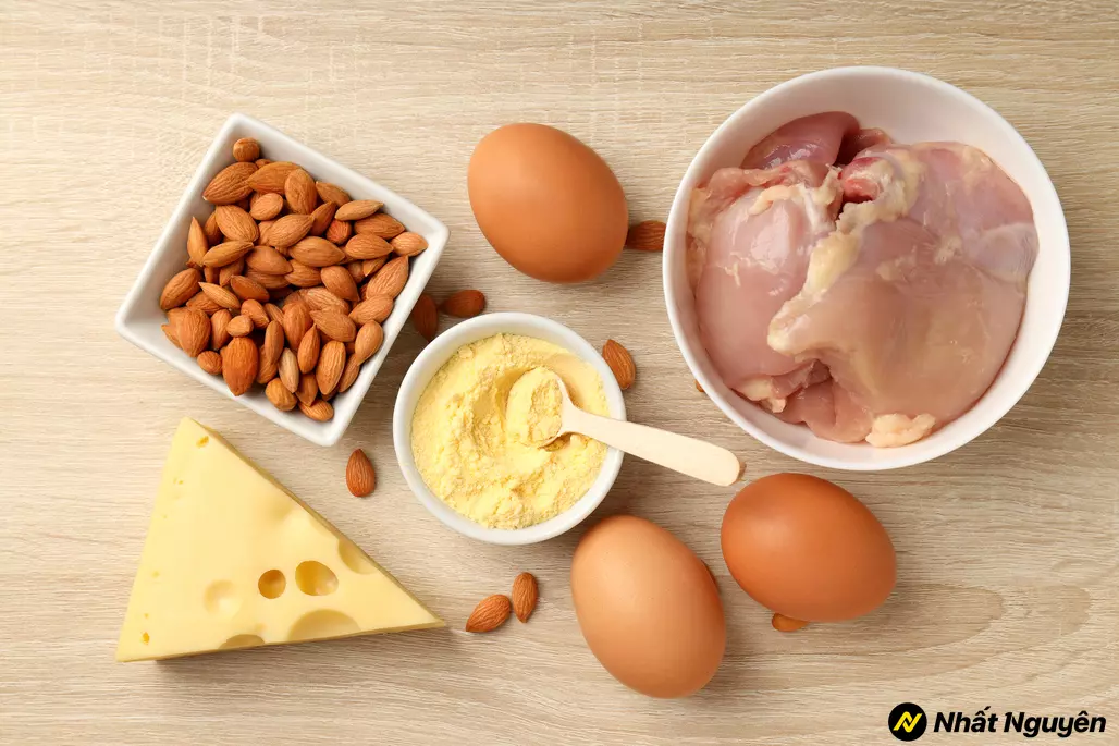 Bổ sung protein hạn chế càm giác thèm ăn