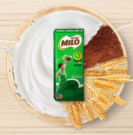 tập gym có nên uống sữa milo