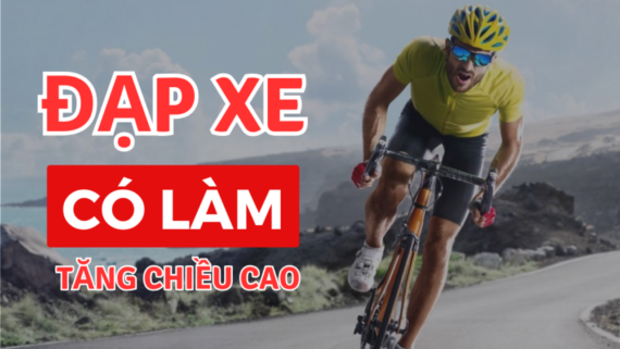 Đạp xe có tăng chiều cao không?